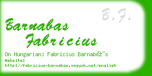 barnabas fabricius business card